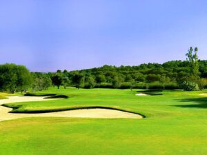 Pinheiros Altos Golf Course green