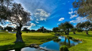 Quinta da Ria River